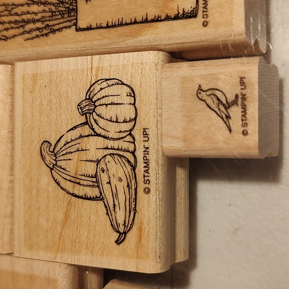 Stampin' Up! Scene In A Garden Wood Mounted Rubber Stamp Set Of 7 Stamps - Picture 4 of 6